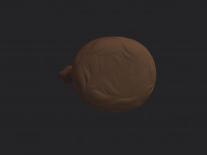 coonskin cap 3D Model