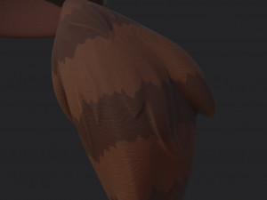 coonskin cap 3D Model