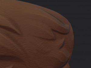 coonskin cap 3D Model