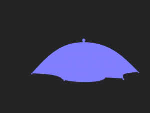 umbrella hat 3Dモデル