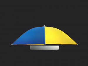 umbrella hat 3Dモデル