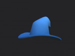 wizard hat 3D Model