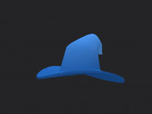 wizard hat 3D Model