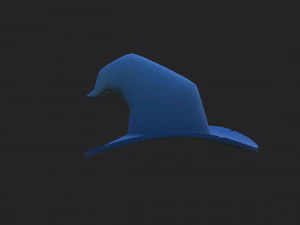wizard hat 3D Model