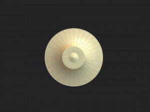 thai farmer hat 3D 모델