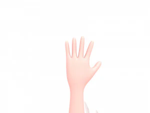 cartoongirl015 bride 3d 3D Model