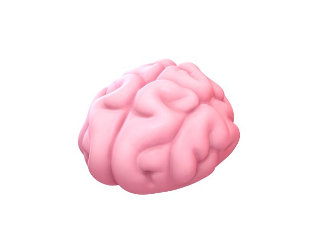 brain Modello 3D .c4d .max .obj .3ds .fbx .stl .blend 