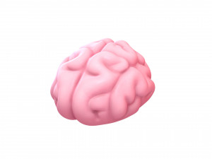 brain 3D मॉडल