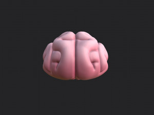 brain Modello 3D