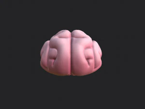 brain 3D Model