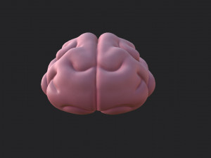 brain Modello 3D