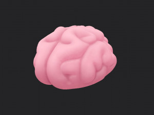 brain Modello 3D