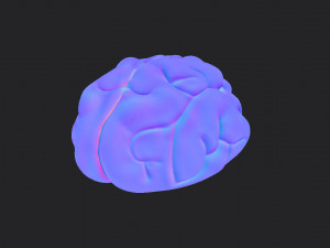 brain Modello 3D