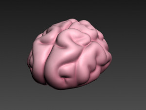 brain Modello 3D