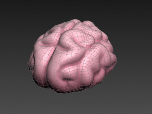 brain Modello 3D