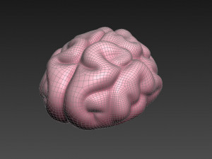 brain Modello 3D