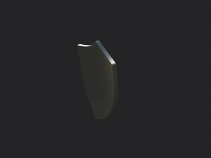 shield 3D Model