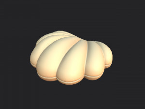 shell 3D मॉडल