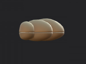 shell 3D मॉडल