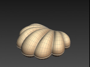 shell 3D मॉडल