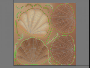 shell 3D मॉडल