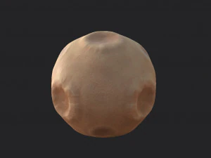 planet 3D Model