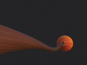broom 3D Model