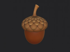 acorn 3D Model