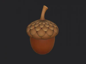 ghianda Modello 3D