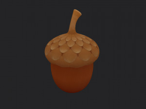 acorn 3D Model