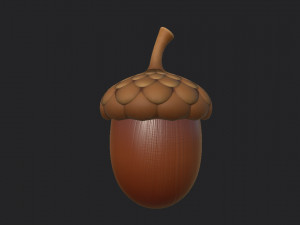 acorn 3D Model