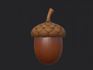 ghianda Modello 3D