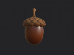 acorn 3D Model