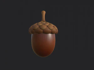 ghianda Modello 3D