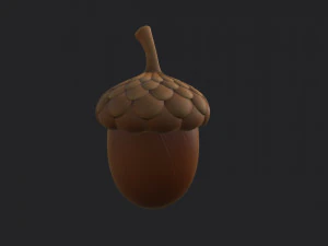 ghianda Modello 3D