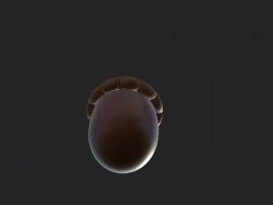 ghianda Modello 3D