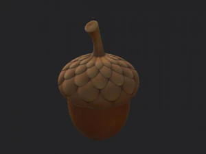 ghianda Modello 3D