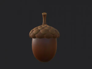 ghianda Modello 3D