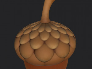 acorn 3D Model