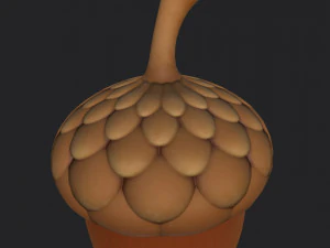 ghianda Modello 3D