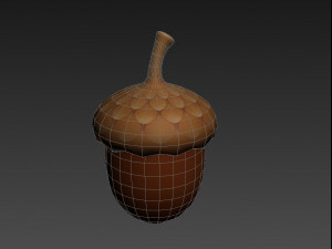 acorn 3D Model