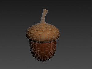 acorn 3D Model