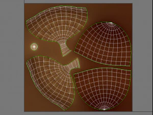 ghianda Modello 3D