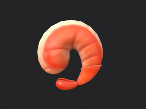shrimp 3D Model