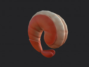 shrimp 3D Model