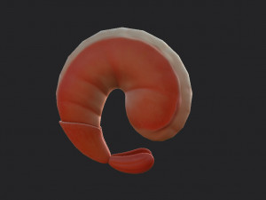 shrimp 3D Model