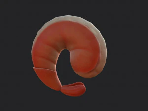 shrimp 3D Model