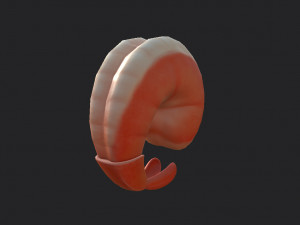 shrimp 3D Model