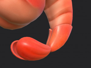 shrimp 3D Model