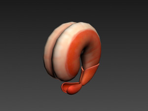 shrimp 3D Model